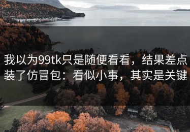 我以为99tk只是随便看看，结果差点装了仿冒包：看似小事，其实是关键