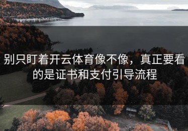 别只盯着开云体育像不像，真正要看的是证书和支付引导流程