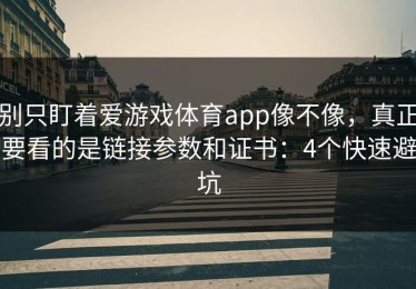 别只盯着爱游戏体育app像不像，真正要看的是链接参数和证书：4个快速避坑