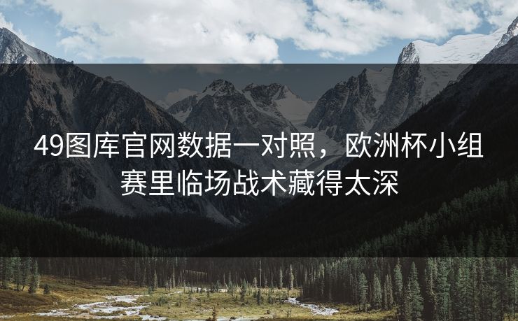49图库官网数据一对照，欧洲杯小组赛里临场战术藏得太深