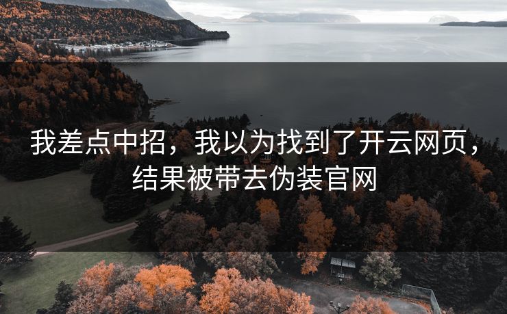 我差点中招，我以为找到了开云网页，结果被带去伪装官网