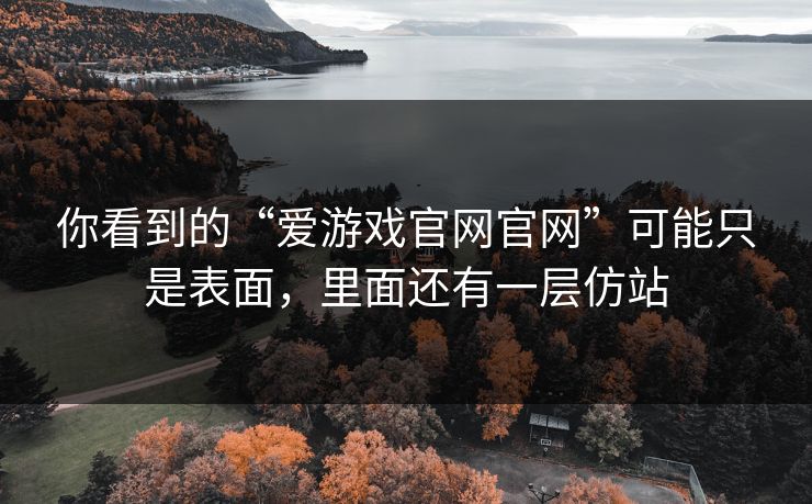 你看到的“爱游戏官网官网”可能只是表面，里面还有一层仿站