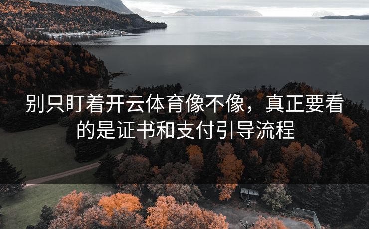 别只盯着开云体育像不像，真正要看的是证书和支付引导流程