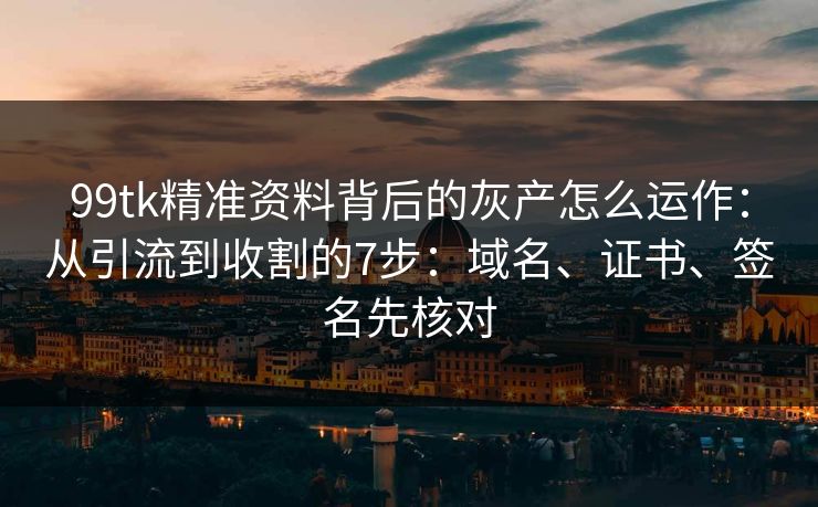 99tk精准资料背后的灰产怎么运作：从引流到收割的7步：域名、证书、签名先核对