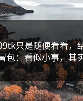我以为99tk只是随便看看，结果差点装了仿冒包：看似小事，其实是关键