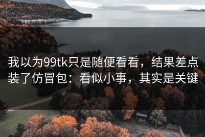 我以为99tk只是随便看看，结果差点装了仿冒包：看似小事，其实是关键