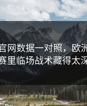 49图库官网数据一对照，欧洲杯小组赛里临场战术藏得太深
