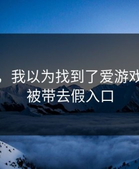 气笑了，我以为找到了爱游戏，结果被带去假入口