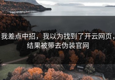我差点中招，我以为找到了开云网页，结果被带去伪装官网