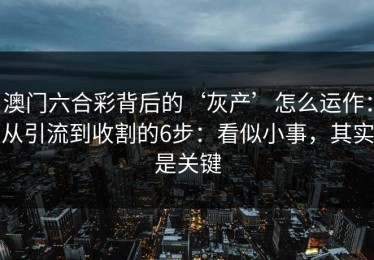 澳门六合彩背后的‘灰产’怎么运作：从引流到收割的6步：看似小事，其实是关键
